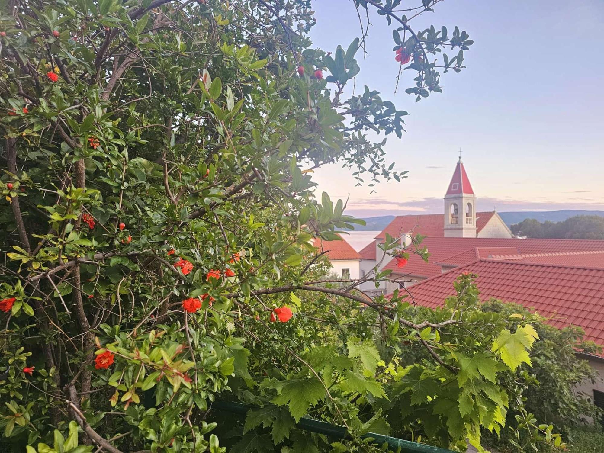 Leonica Apartment Omis Exterior photo